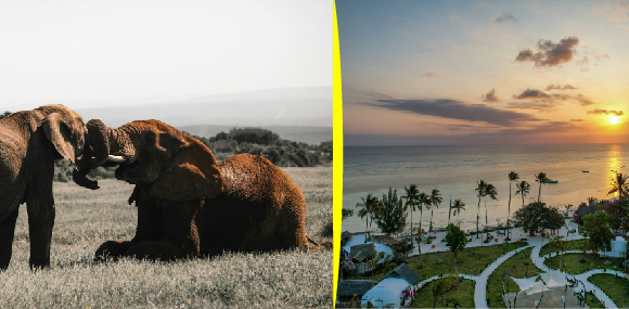 6-days-mid-luxury-wildlife-safari